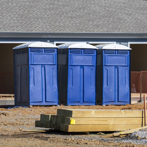 how often are the porta potties cleaned and serviced during a rental period in Spring Brook